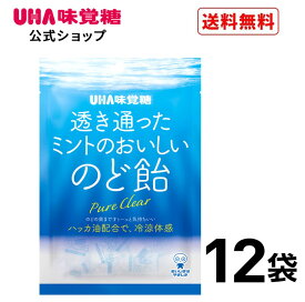 【公式】UHA味覚糖 透き通ったミントのおいしいのど飴 92g 12袋セット 【送料無料】
