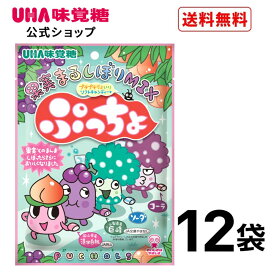 【公式】まとめ買い UHA味覚糖 ぷっちょ袋 4種アソート 12袋セット 送料無料