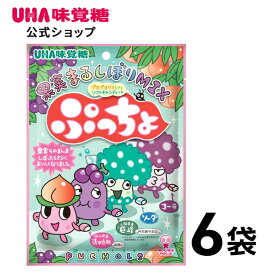 【公式】UHA味覚糖 ぷっちょ袋 4種アソート 6袋セット