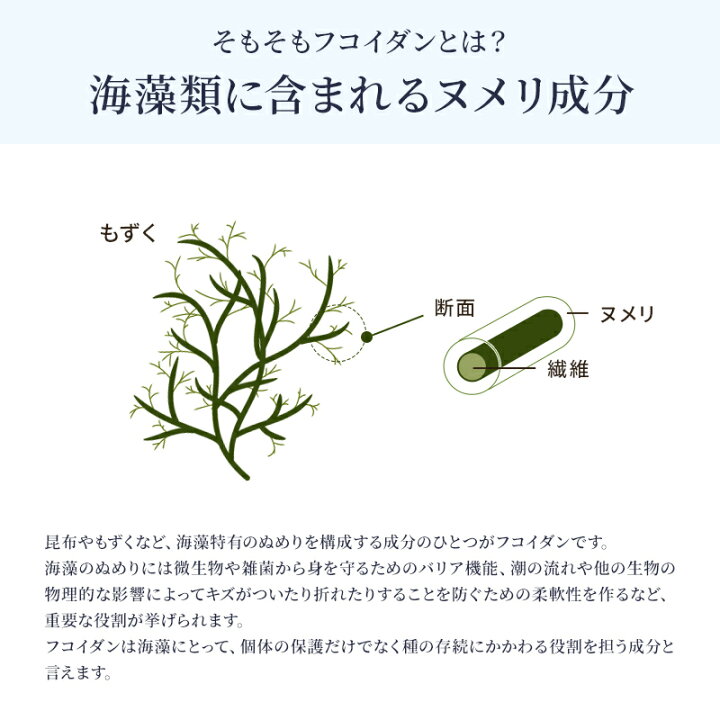 楽天市場】[送料無料]【パワーフコイダンCG（ゼリータイプ）50g×36包 