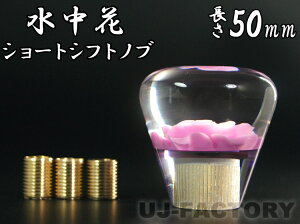  o/KN sN V[gVtgmu 50mm ϊA_v^[t NX^ gbN fRg  yg }jA g ΂ [] 5cm