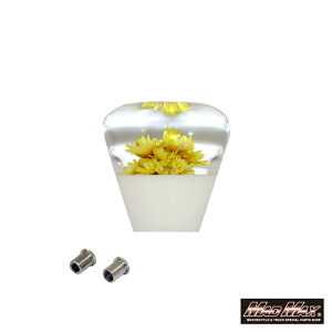 }bh}bNX  Vtgmu V[g TYPE2 50mm ėp (MM75-0050) gbN y yg fRg Vtg`FW g  UD OH Y U vtBA X[p[O[g N