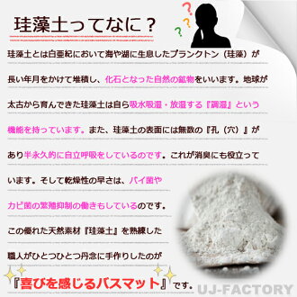 【送料無料!即納】珪藻土マットMサイズ/レギュラーカラーバスマット