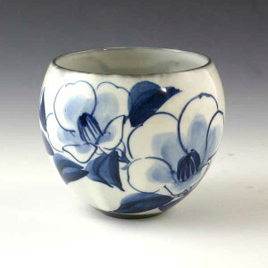 ۂ ̂    ۂݒq 퐻 {  ʓ t   v[g lC aH