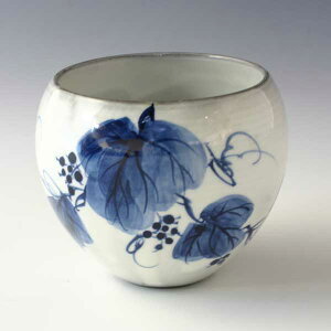 ۂ ̂    ۂݒq 퐻 {  ۂ ʓ tR   v[g lC aH