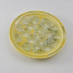 M    퐻 {  XM Ԍij ͂Ȃ傤    v[g lC aH