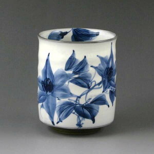 ۂ ̂    ۂݒq 퐻 {  P t ߂΂   v[g lC aH