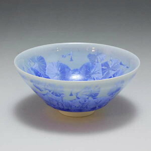  u TJYL  {   퐻 { aH  u 1q  Ԍ ͂Ȃ傤ij   v[g lC