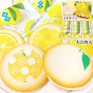 【日本一に輝きました！】【大賞商品】【伊豆ニューサマーオレンジ使用】伊豆　ニューサマーオレンジラン…