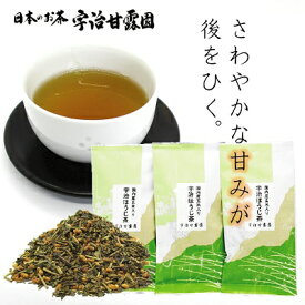 【エントリーでポイント高還元】 国内産玄米入り宇治ほうじ茶 50g×3本 送料無料 お茶 焙じ茶 茶葉 緑茶 玄米茶 宇治茶