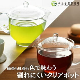 【高評価4.8以上】ガラス ・ ティーポット ・ クリア 急須「 ガラス風で割れにくい 新素材 トライタン 透明 ポット」 | おしゃれ かわいい きゅうす 日本製 丈夫 贈答 進物 ギフト 贈り物 透明 透明急須 洗いやすい プレゼント ティータイム