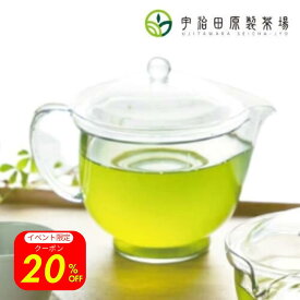 【高評価4.8以上】 割れにくい クリア 急須 ティーポット 新素材 おしゃれ 急須おしゃれ かわいい きゅうす 日本製 丈夫 贈答 進物 ギフト 贈り物 透明 透明急須 洗いやすい プレゼント ティータイム 母の日 母の日ギフト