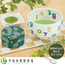 宇治抹茶とSO-SU-Uいっぷく碗（抹茶・抹茶碗・茶さじ） 抹茶 セット 日本茶 宇治 粉末 お試し 茶道 抹茶セット 初心者 京都 宇治抹茶 宇治茶 宇治田原製茶場 ギフト プレゼント 贈答 贈り物 進物 職場 茶葉 ご挨拶 送料無料 母 父 敬老の日 贈り物 抹茶入門 お試し