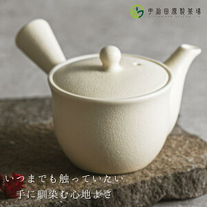 }{ONE(Ej }{ Vv    Fc k̂Ă₷ g₷ 􂢂₷  Nz   c c ֗ v[g 蕨 Ԃ eB[|bg  