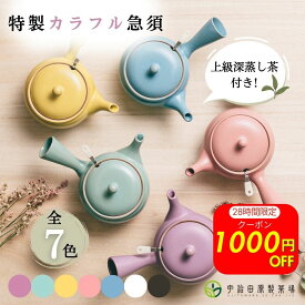 ＼1000円OFF／【竹の匠とカラフル急須POYのセット】 急須 おしゃれ 洗いやすい かわいい シンプル お試し お茶 洗いやすい 宇治茶 日本茶 緑茶 茶葉 ギフト プレゼント カラフル急須