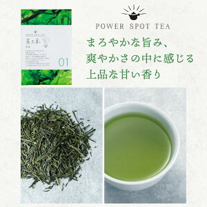 y犴鉮v̗́zv s  Β F { t [ e  蕨 Mtg Nz   c c  Mtg  v[g Ԃ a HMtg X 