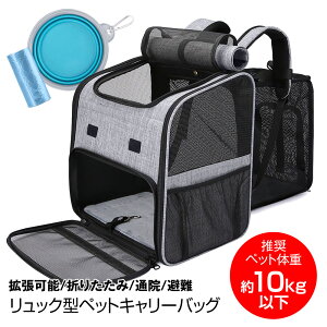 ybgbN g^ g  h ЊQ ^  ybgL[obO ybgL[ L  L[obO bN g\ ܂肽ݎ ybgobO  ˂ Ck lR o