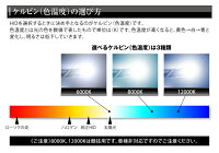 【レビュー記入で送料無料!】純正交換用HIDバルブD4R/D4S共通タイプ