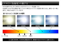 遂に登場!!プロショップ専用HIDコンバージョンキットH4切替タイプ