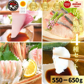 【11/4(火)20時〜！店内最大半額！晩秋の味覚フェア開催！】刺身 盛り合わせ カンパチ 真鯛 ヒラメ シマアジ アジ 鯵 刺身 冷蔵 柵 ギフト 海鮮◆〈活〆鮮魚4種セット（550-650g）／日向灘かんぱち・まだい・ひらめ・しまあじ刺身〉