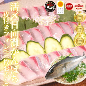 YnIyYN^傩ς^ttBiO낵jzB{茧Y hgpJp`  j pɂ  ȒP hg ؂邾 hg^S