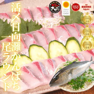 y11/1(y)0`24hIXő30OFF߃Z[JÁIzς 1 Jp` hg ①  o^C ̓ ̓ hV̓ MtgCN傩ςhg^YN^1