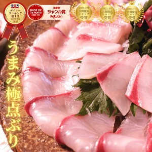 y11/4()20`IXő唼zIӏH̖otFAJÁIzhg yVN1 u Ԃ  ͂܂   hg hg  hg  肹O aH O u