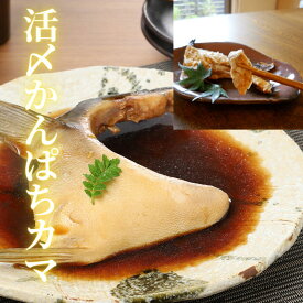 焼き魚 カンパチカマ 冷凍 冷蔵 焼き魚 塩焼き 煮付け 父の日 お中元＊＜カンパチかま2個入り(冷凍)／活〆日向灘かんぱち（別途送料）＞九州宮崎県延岡産