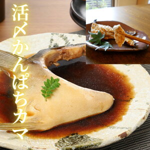 Ă hg Jp`J} Ⓚ ① Ă Ă ϕtJp`4H(Ⓚ)^Y傩ςB{茧Y