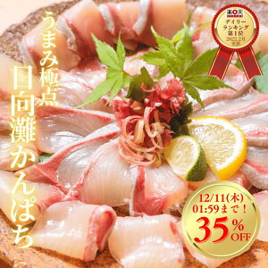 y12/4()20`7ԁIXő50%OFFX[p[Z[JÁzς hg yVN1 hg   hg  ؂Vst  񂹃O CN܂݋ɓ_