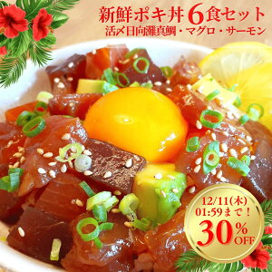 y12/4()20`7ԁIXő50%OFFX[p[Z[JÁzCN |L nCA nCH ^ }O T[ Mtg CNCNpЂi|LЂj6HZbgiⓀpj^