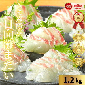 �y12/19(��)20���`7���ԁI�X���ő�40%OFF���労�ӍՊJ�ÁI�z�h�g ���h�g �h���g ������ �^�� ���� �܂��� ���荇�킹 �h���g �؂�����V�s�t�� ������ ����肹�O���� �C�N �򁟁����܂݋�