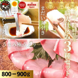 【5のつく日☆最大1500円OFF♪2/14(土)0時〜3日間！週末セール開催！】刺身 盛り合わせ ブリ はまち 真鯛 まだい たい 鯵 しまあじ あじ 刺身 冷蔵 柵 敬老の日 海鮮◆＜うまみ極点ぶり・真鯛湯引き・しまあじ／職人仕込み3種セット（800-900g）＞s018＃