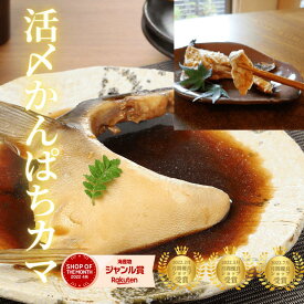 焼き魚 刺身 カンパチカマ 冷凍 冷蔵 焼き魚 塩焼き 煮付け 九州 宮崎県 延岡産 父の日 お中元＜カンパチかま4食分(冷凍)／活〆日向灘かんぱち＞a070-2＃