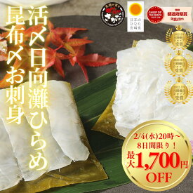 【2/4(水)20時〜最大50%OFF☆8日間限り！立春お刺身フェア開催！】刺身 お刺身 刺し身 さしみ ヒラメ 平目 昆布締め 盛り合わせ 切り方レシピ付き お取り寄せ お取りせグルメ 和食 海鮮 柵◆＜日向灘ヒラメ昆布〆お刺身 ＞a005＃