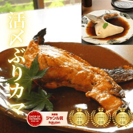 【5のつく日☆最大1500円OFF♪2/14(土)0時〜3日間！週末セール開催！】ブリカマ 焼き魚 刺身 冷凍 冷蔵 焼き魚 塩焼き 煮付け 九州 宮崎県 延岡産＜ブリかま2個入り(冷蔵・冷凍)／活〆日向灘ぶり・はまち（別途送料）＞a070-01＃