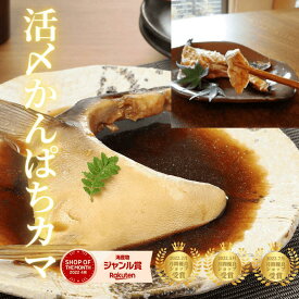 焼き魚 カンパチカマ 冷凍 冷蔵 焼き魚 塩焼き 煮付け 九州宮崎県延岡産 父の日 お中元＜カンパチかま2個入り(冷凍)／活〆日向灘かんぱち（別途送料）＞a070＃