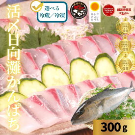 【7/13(月)9:59まで！店内最大半額！9日間限定☆お中元・夏ギフトフェア】カンパチ 刺身 かんぱち 刺身 冷蔵 柵 バレンタイン 母の日 敬老の日 ギフト おつまみ 海鮮 切るだけ お中元◆＜活〆日向灘かんぱち刺身(さく) 約300g＞a013＃