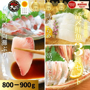 y10/24()20`4ԁIXő50OFFIĤ܂ՊJÁzhg 荇킹 Ԃ ͂܂ ^  Ђ hg ①  Mtg CNԂi͂܂jE^EЂߎhg