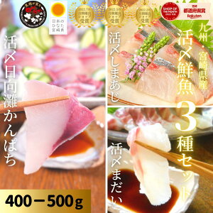 y10/4(y)20`5ԁIXő50OFFȈHtFAȏiXzhg 荇킹 Zbg Jp` ^ ܂ V}AW ① Mtg CN ؂邾YN3Zbgi400-500g