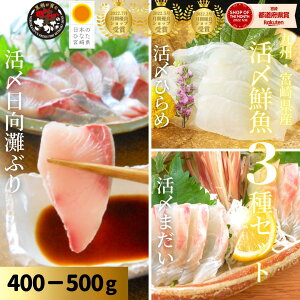 【10/24(金)20時〜4日間!店内最大50%OFF!☆秋のうまいもん祭開催】刺身 盛り合わせ ぶり はまち 真鯛 たい まだい ひらめ 冷蔵 柵 海鮮◆<日向灘ぶり(はまち)・まだい・ひらめ刺身盛り合