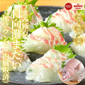 y11/1(y)0`24hIXő30OFF߃Z[JÁIz^ 1 ܂  hg ①  o^C Mtg ܂ CN ؂邾܂hg^Ö{Eɂ̌