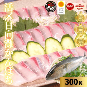 Jp` hg ς hg ①  o^C ̓ ̓ hV̓ Mtg ܂ CN ؂邾Y傩ςhg() 300g