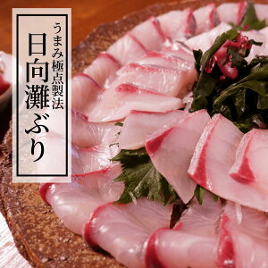 ぶり 5kg 魚の人気商品 通販 価格比較 価格 Com