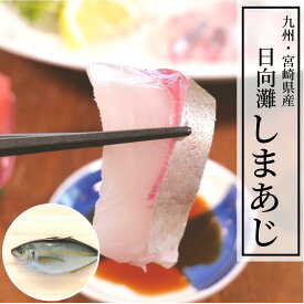 楽天市場 シマアジ 刺身の通販