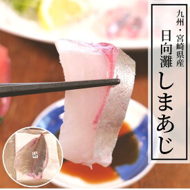 楽天市場 シマアジ 刺身の通販