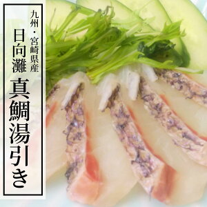 魚 パック その他の魚介類の人気商品 通販 価格比較 価格 Com