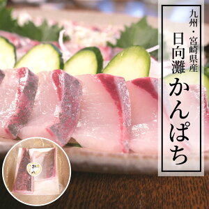 かんぱち 魚の通販 価格比較 価格 Com