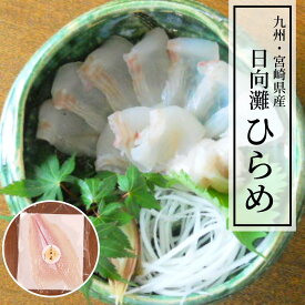 楽天市場 ヒラメ 刺身の通販