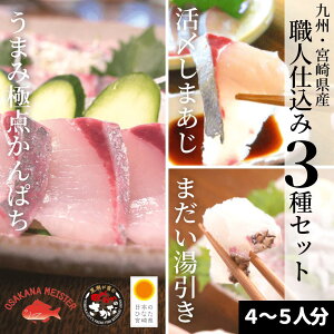 魚 丼 その他の魚介類の人気商品 通販 価格比較 価格 Com